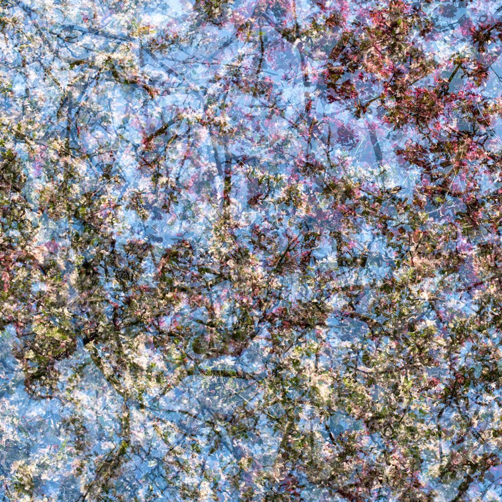 Spring Season Inspired By Jackson Pollock