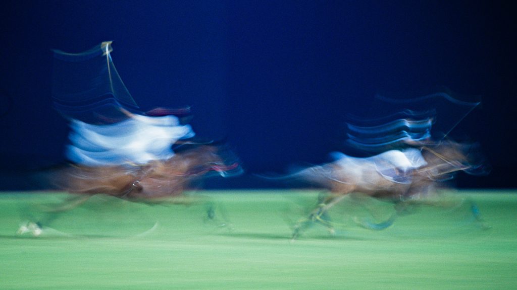 Motion and Grace: A Study of Polo